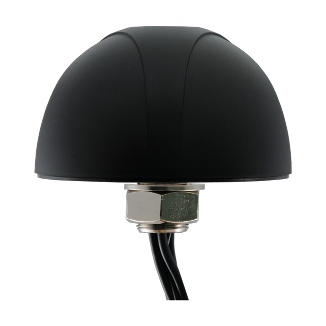 2-in-1 Outdoor Omni Antenna for 1x LTE Modem