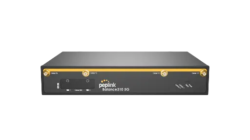 [SVL-BPL-310-5G-K-2Y] EssentialCare (2-Year) for Balance 310 (5G & CAT-12)