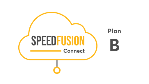 [SFC-CLD-B] SpeedFusion Connect Protect - Plan B